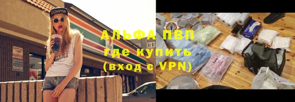 хмурый Нефтекумск