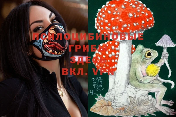 молекула духа Абинск