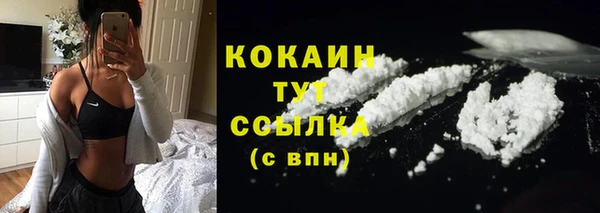 молекула духа Абинск