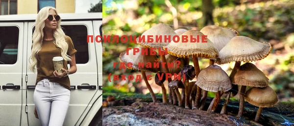 молекула духа Абинск