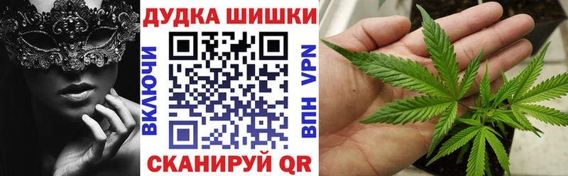 Шишки марихуана план  продажа наркотиков  kraken ССЫЛКА  Ленинградская 